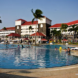 photo (12) (Large).jpg