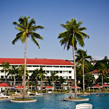 photo (15) (Large).jpg