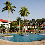 photo (16) (Large).jpg
