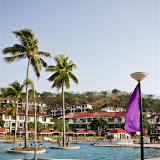 photo (17) (Large).jpg