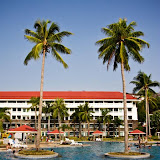 photo (22) (Large).jpg