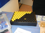 DSCN0959.JPG
