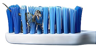 escova dentes 012