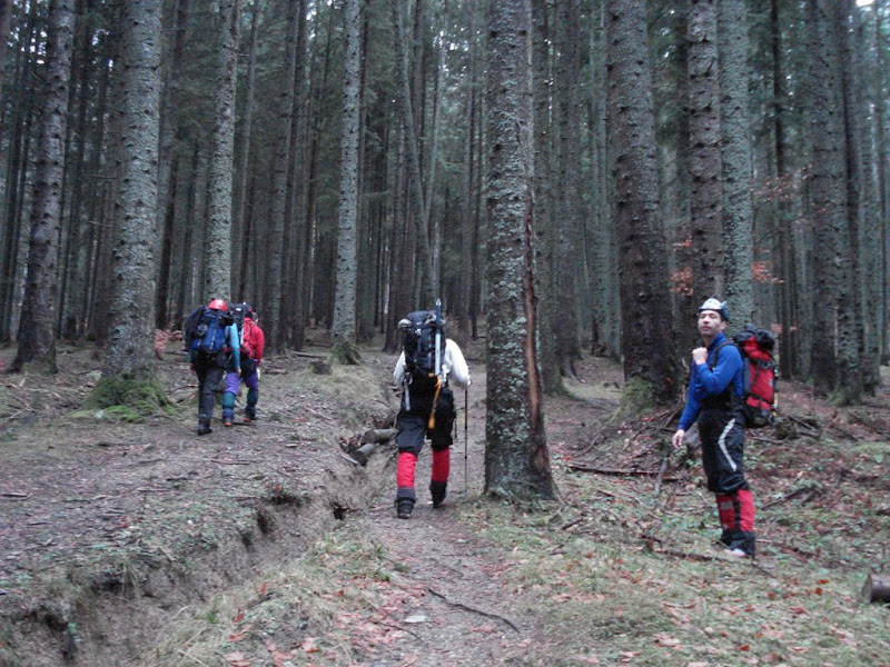 Valea Coltilor
