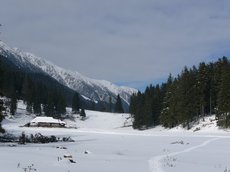 Piatra Craiului