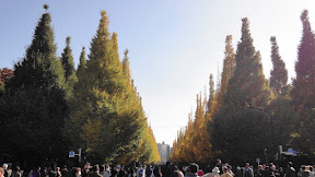 DSC00561.JPG