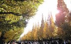 DSC00564.JPG