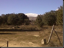IMG00011-20100130-1442