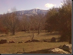IMG00014-20100130-1443