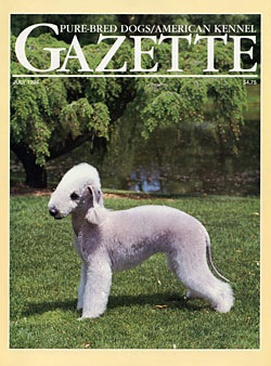 [lg_bedlington5[4].jpg]