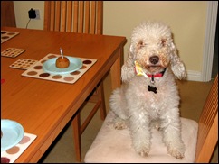 IMG_0465 IMG_0465