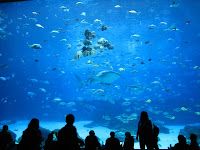 IMG_2114.JPG