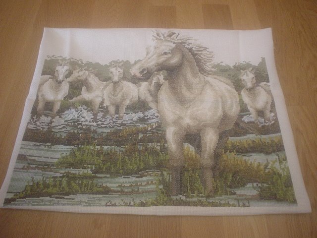 [pontox+quadro+cavalo+(2).jpg]