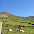 Slea Head