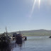 Dingle
