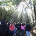 Mitchelstown Cave