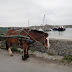 Inismor