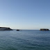 DSC03284.JPG