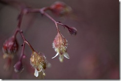 IMG_1882