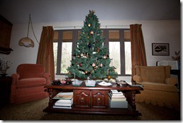 Xmas Tree