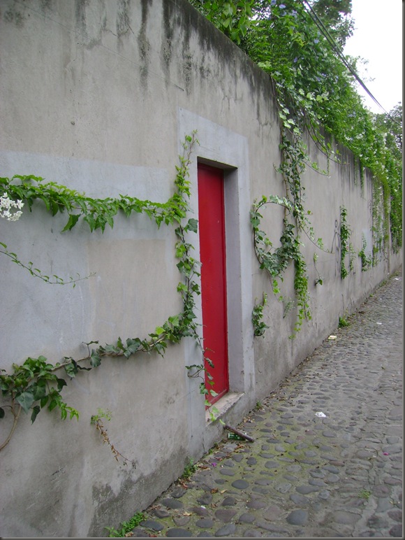 DSC01366