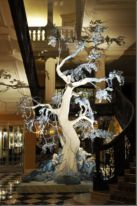 diortree2