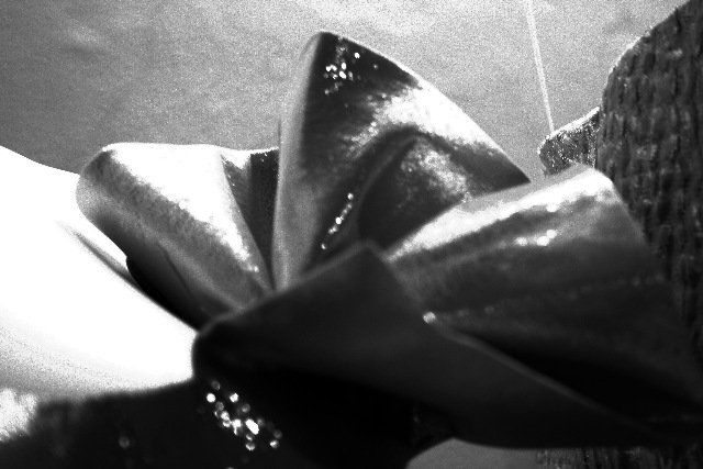 [Detalle 2 vestido 1[5].jpg]