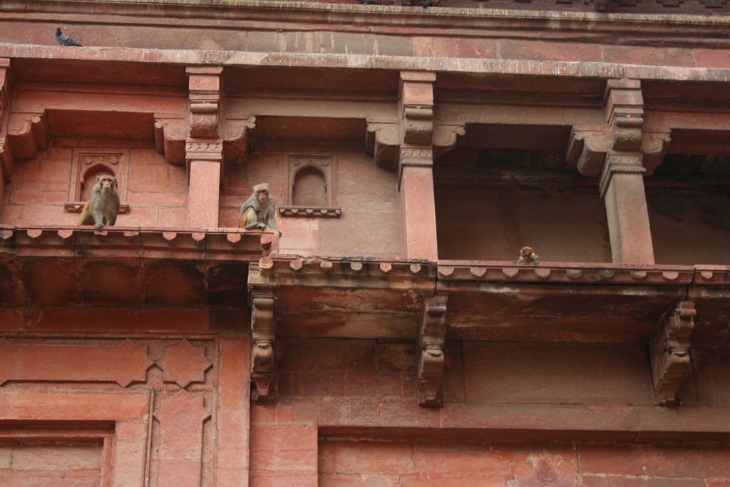 [Inida Office and Taj 215.jpg]
