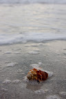 12-25-09_2585