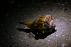 12-28-09_3382