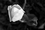 04-16-10_6730