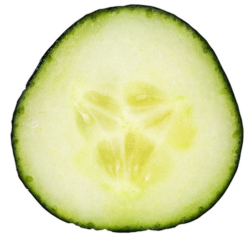 [cucumber[2].jpg]