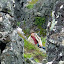 DSCF9192.JPG