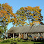 Mackonkiemis rudenį
