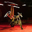 DSCF0677.JPG