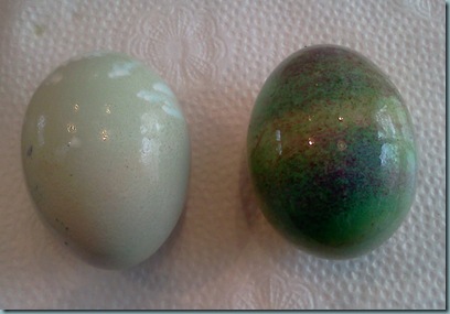 eggs before and after