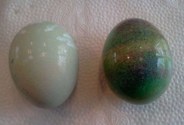 [eggsbeforeandafter5.jpg]