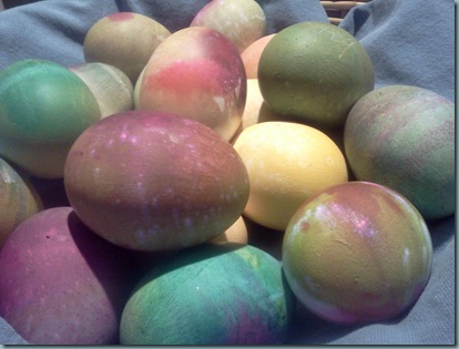 vibrant eggs
