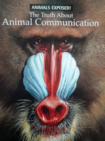 [animal_communication[4].jpg]