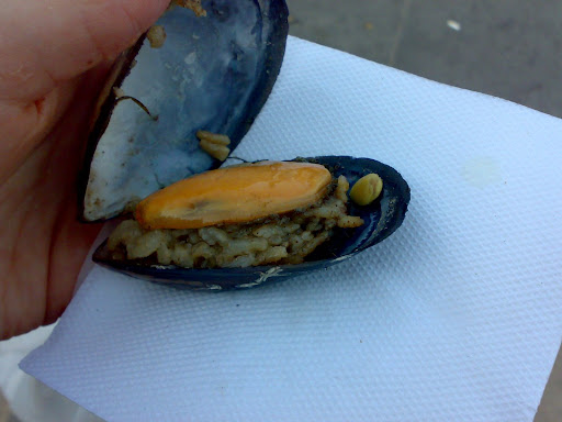 09052009417.jpg
