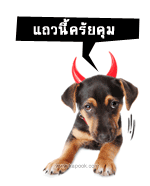 แถวนี้ครายคุม