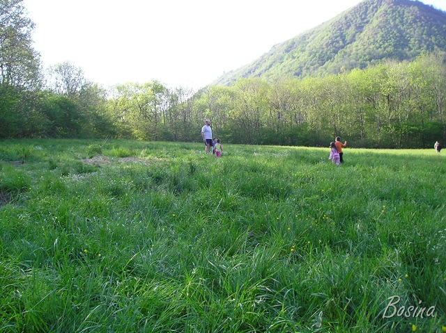 [P1010045[16].jpg]