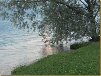 DSCN1638