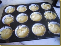 muffin grana 015