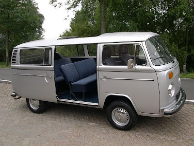 vw_T2B-silberfish.jpg