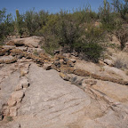 IMG_7071.JPG