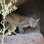 IMG_7220.JPG