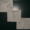 DSC07611.JPG