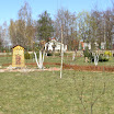 P4154108.JPG