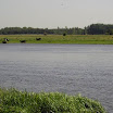 _mini-P5264279.JPG